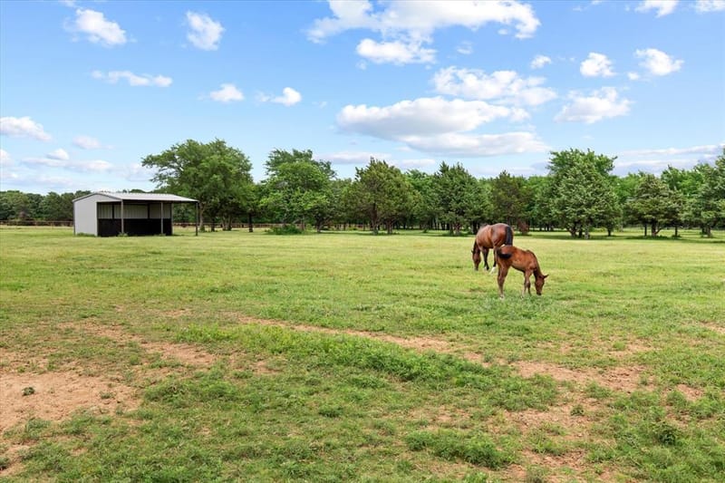 10701 Osburn Road, Pilot Point TX 76258 - Photo 29