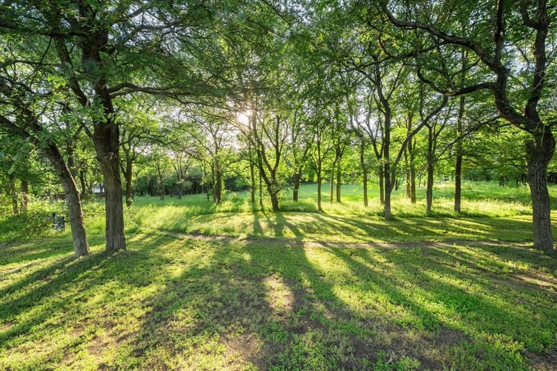134 County Road 3048, Corsicana TX 75109 - Photo 29