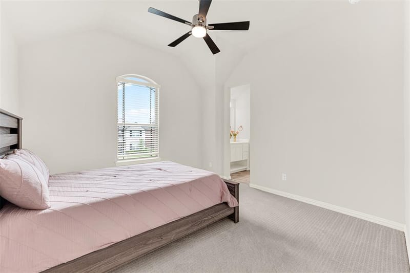 3125 Creek Meadow Drive, Anna TX 75409 - Photo 30