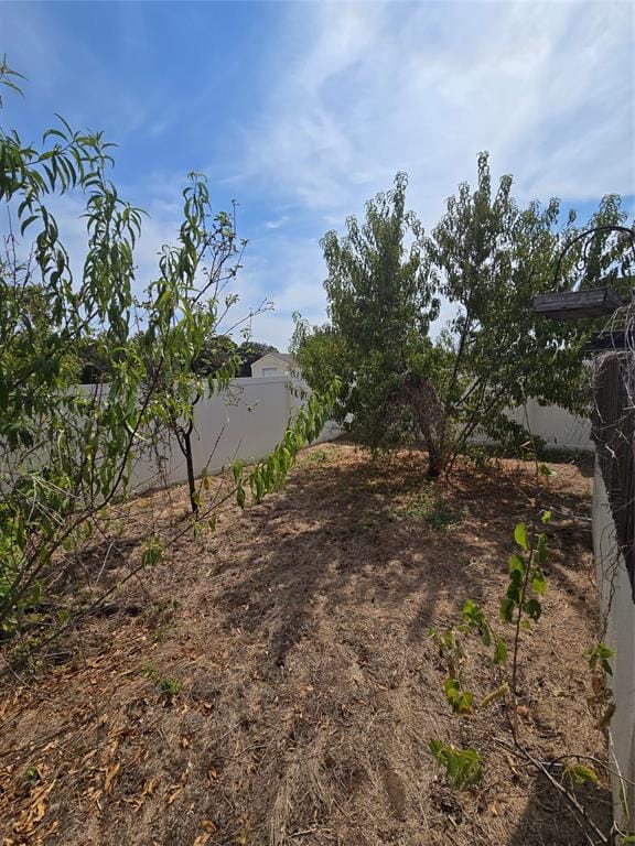 1331 Jay Bird Road, Springtown TX 76082 - Photo 39
