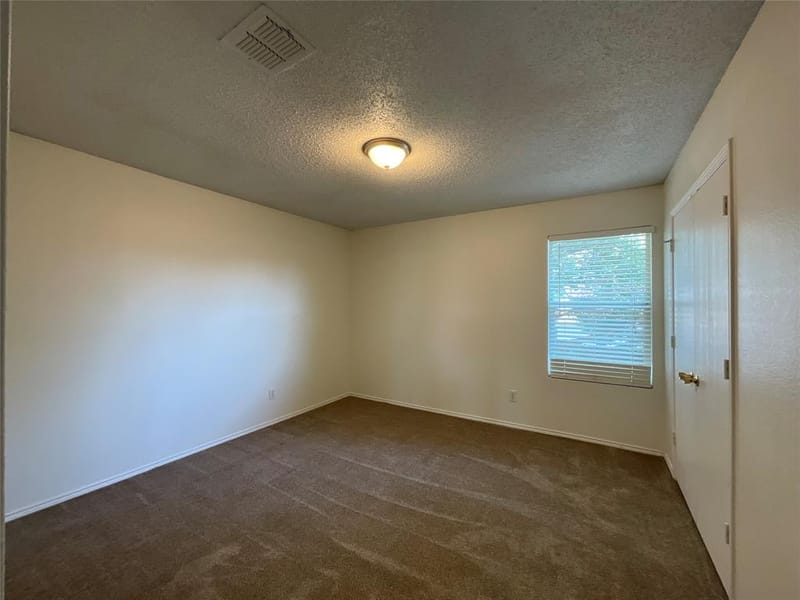 2233 Chestnut Drive, Little Elm TX 75068 - Photo 17