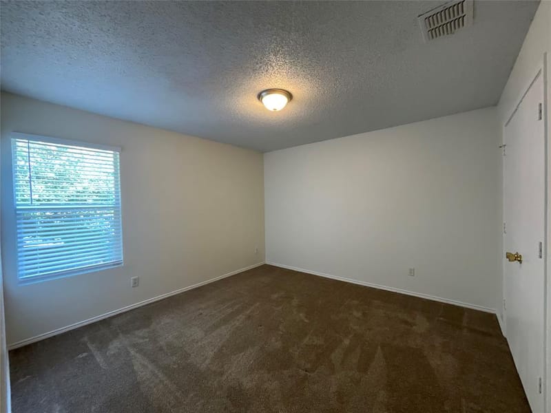 2233 Chestnut Drive, Little Elm TX 75068 - Photo 19