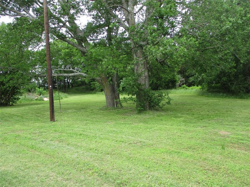 1026 County Road 1145, No City TX 75472 - Photo 9