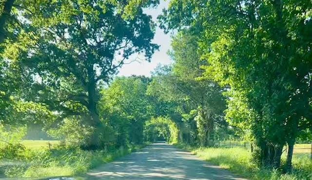 1630 County Road 2320, Terrell TX 75160 - Photo 23