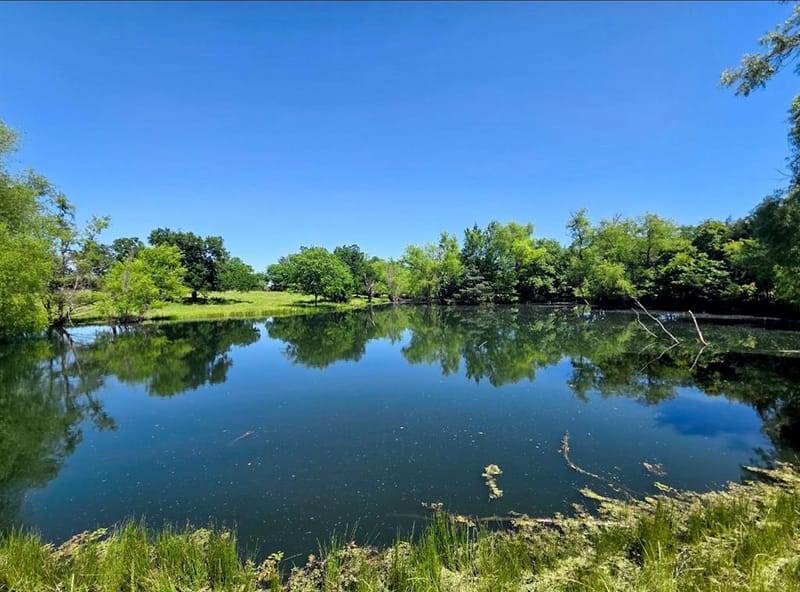 7899 County Road 623, Farmersville TX 75442 - Photo 33
