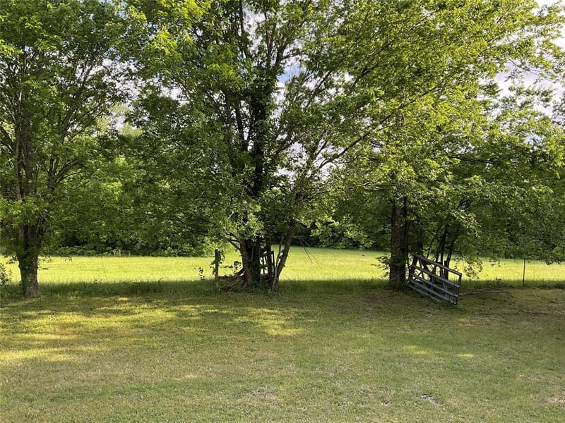 9994 Twin Creeks Circle, Anna TX 75409 - Photo 2