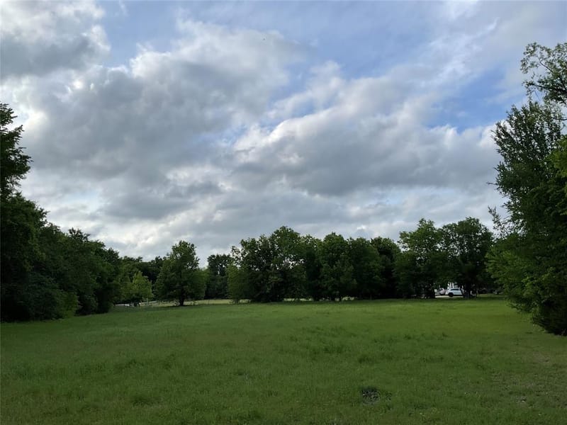 9994 Twin Creeks Circle, Anna TX 75409 - Photo 12
