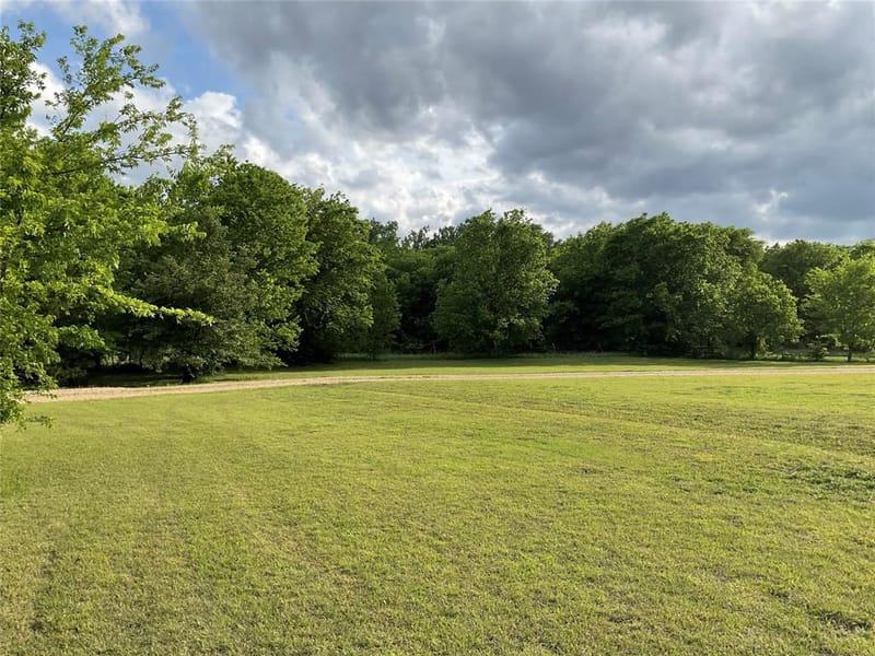 9994 Twin Creeks Circle, Anna TX 75409 - Photo 3