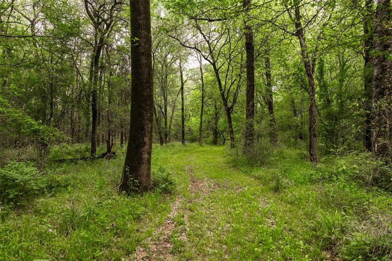 5531 NE County Road 3130, Kerens TX 75144 - Photo 36