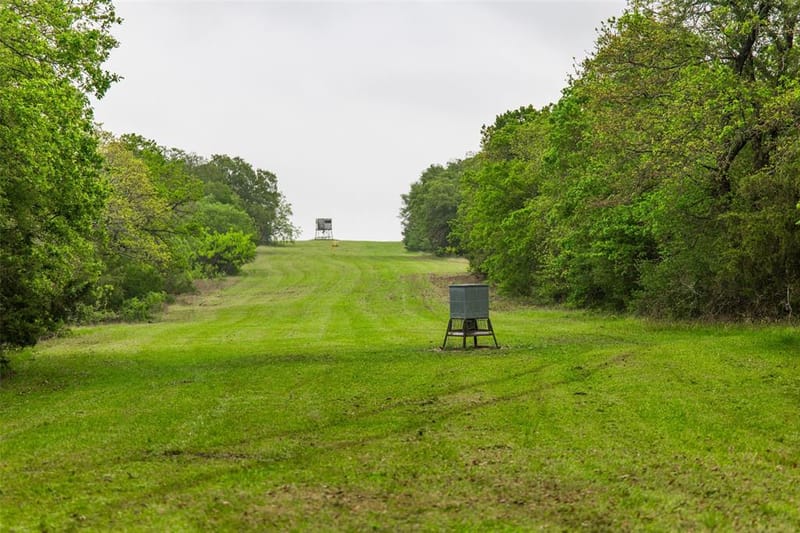 5531 NE County Road 3130, Kerens TX 75144 - Photo 32