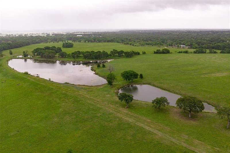 5531 NE County Road 3130, Kerens TX 75144 - Photo 10