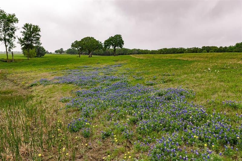 5531 NE County Road 3130, Kerens TX 75144 - Photo 37