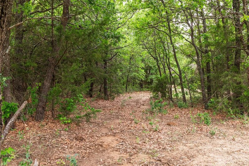 5531 NE County Road 3130, Kerens TX 75144 - Photo 35