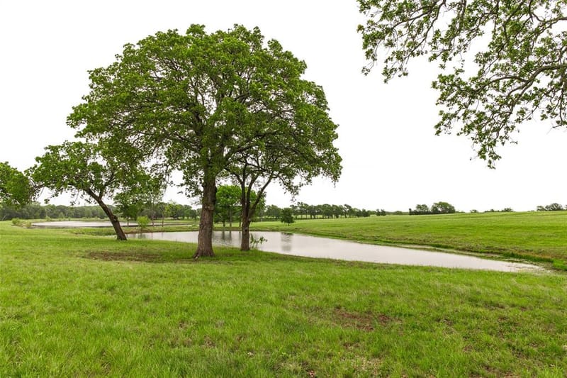 5531 NE County Road 3130, Kerens TX 75144 - Photo 39