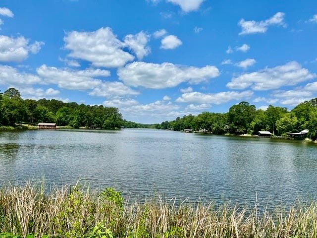 717 private road 6665, Mineola TX 75773 - Photo 28