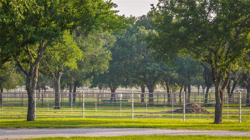 24183 S US 281, Hico TX 76457 - Photo 31