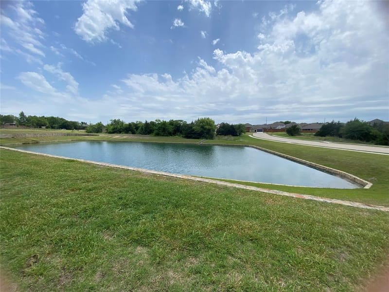 206 Highedge Drive, Fate TX 75087 - Photo 29