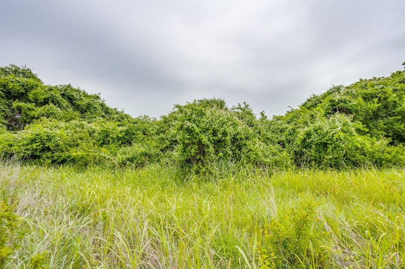 4180 E Fm 2210 E, Perrin TX 76486 - Photo 24