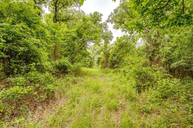 4180 E Fm 2210 E, Perrin TX 76486 - Photo 25