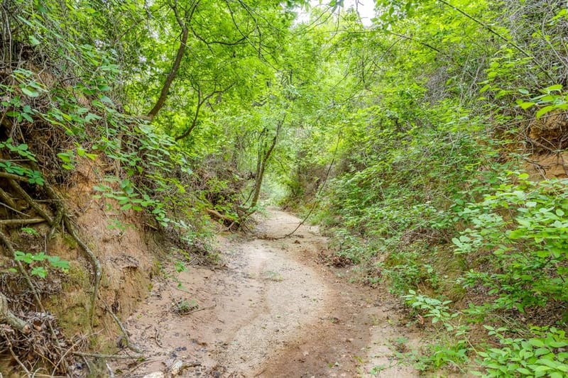 4180 E Fm 2210 E, Perrin TX 76486 - Photo 21