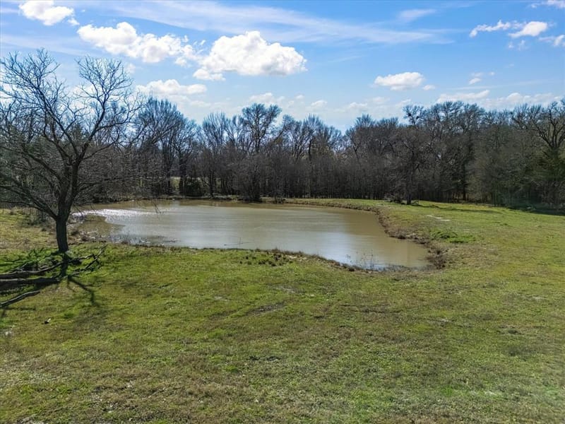 11095 E State Highway 31, Kerens TX 75144 - Photo 27