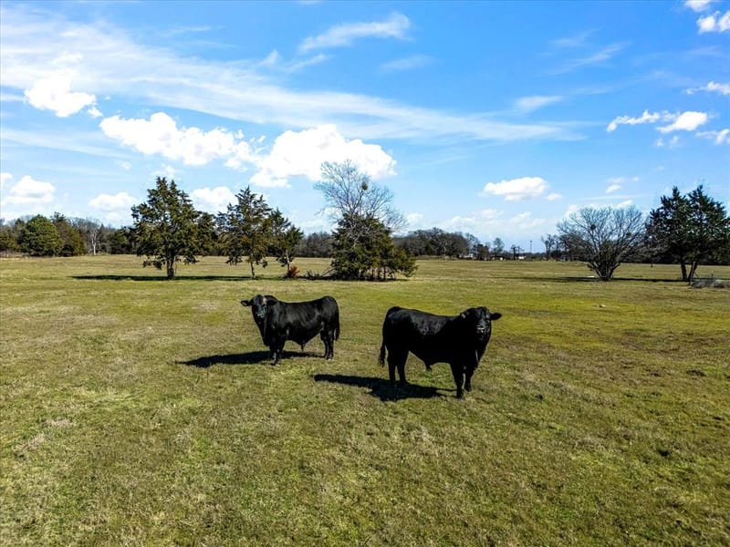 11095 E State Highway 31, Kerens TX 75144