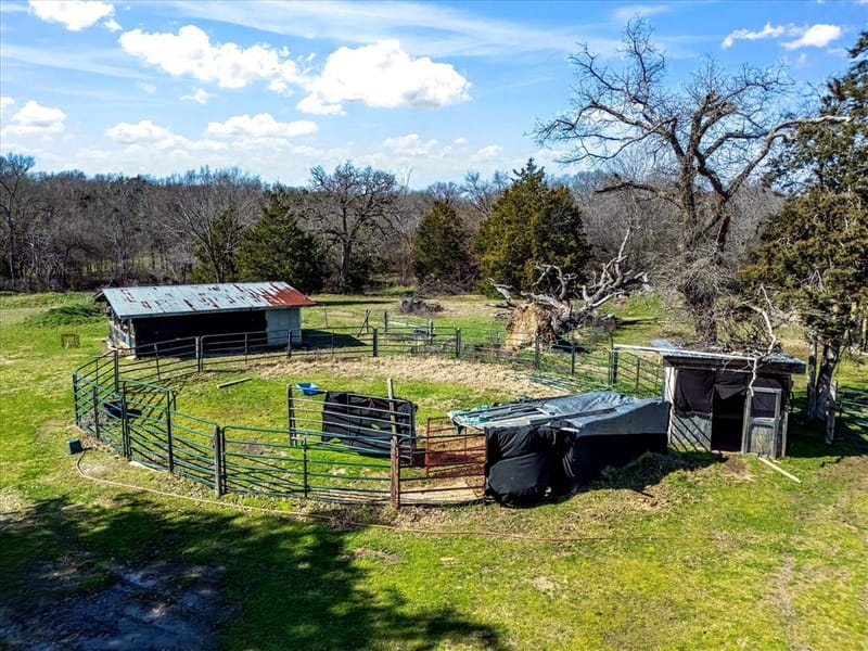 11095 E State Highway 31, Kerens TX 75144 - Photo 9
