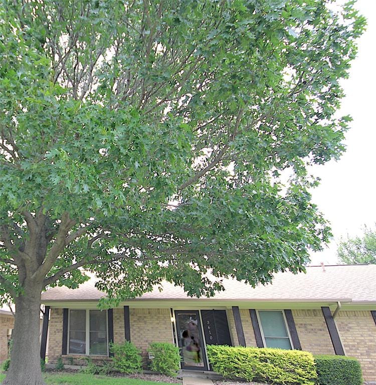 3610 Cheyenne Trail, Garland TX 75044 - Photo 38