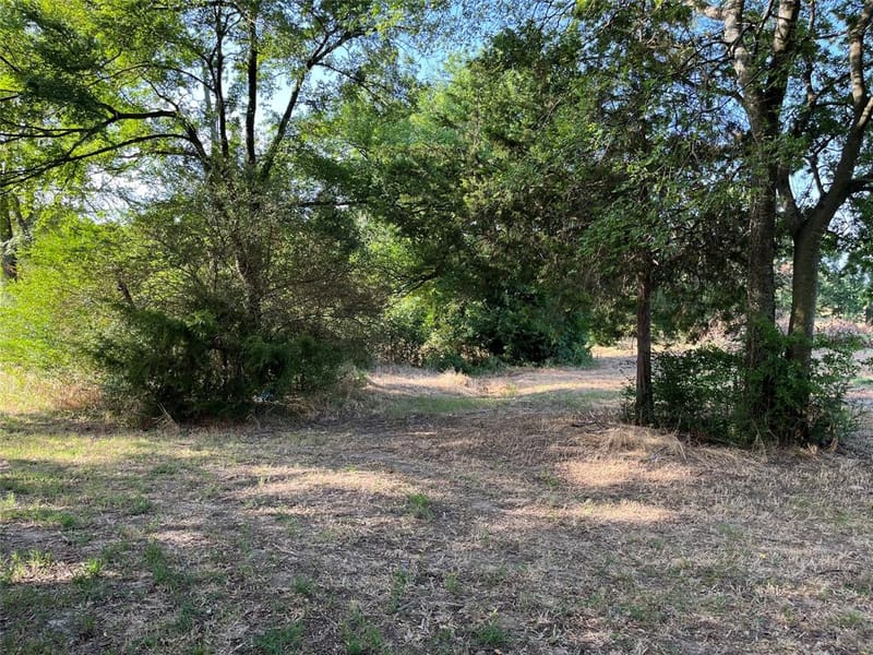 1668 E Fm 852, Winnsboro TX 75494 - Photo 12