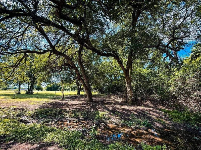 1708 S Wall Street, Belton TX 76513 - Photo 40