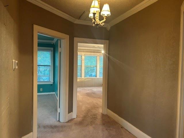 1007 N Center Street, Bonham TX 75418 - Photo 20