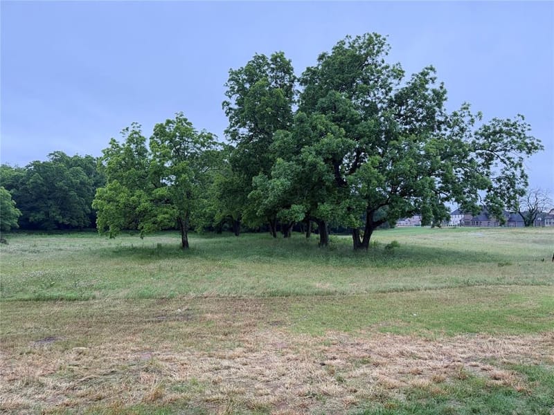 2191 Business Highway 377, Whitesboro TX 76273 - Photo 7
