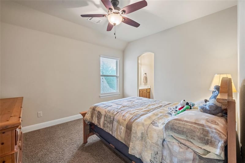 3629 Ballycastle Drive, Plano TX 75074 - Photo 19