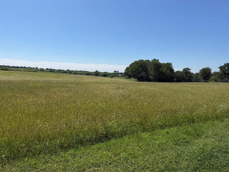 279 Hcr 1367, Hillsboro TX 76645 - Photo 26