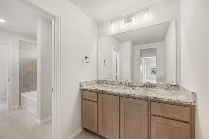 7253 Cherry Blossom Lane, Little Elm TX 76227 - Photo 34