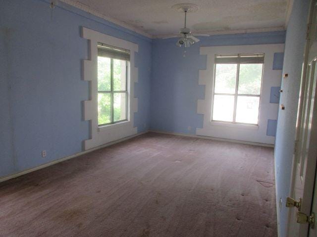 1709 Norwood Lane, Arlington TX 76013 - Photo 20