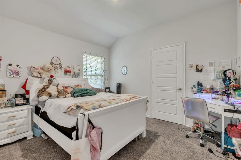3204 Peacock Lane, Celina TX 75009 - Photo 27