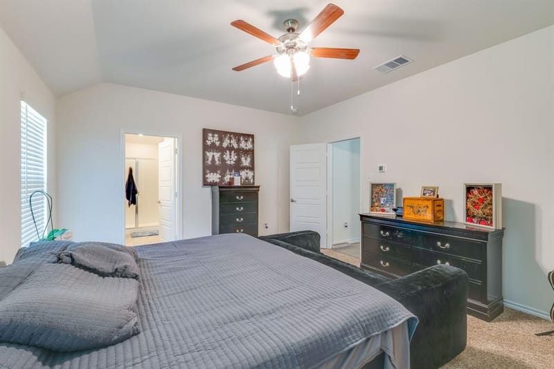 3204 Peacock Lane, Celina TX 75009 - Photo 22