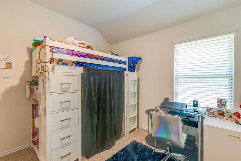 3204 Peacock Lane, Celina TX 75009 - Photo 28