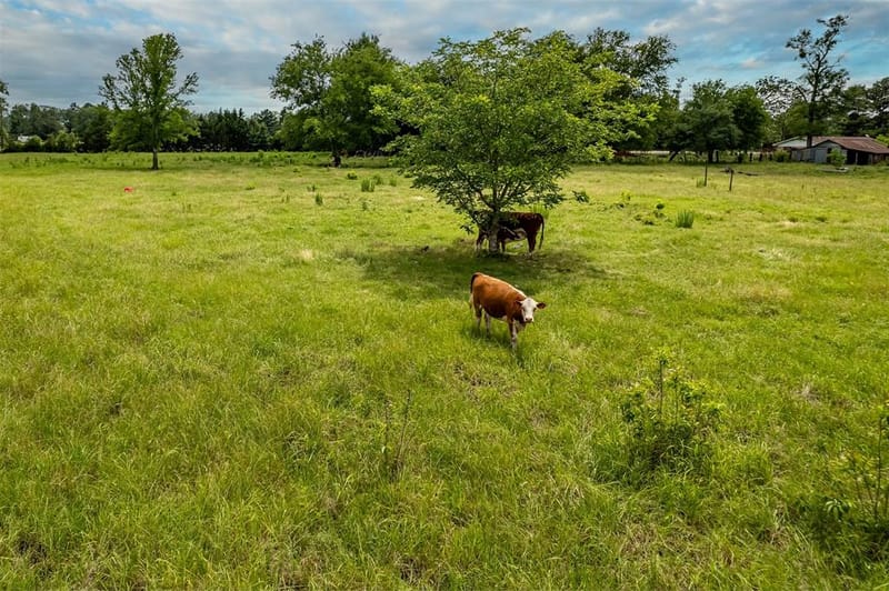 7037 E U.S. HWY 80, Hawkins TX 75765 - Photo 35