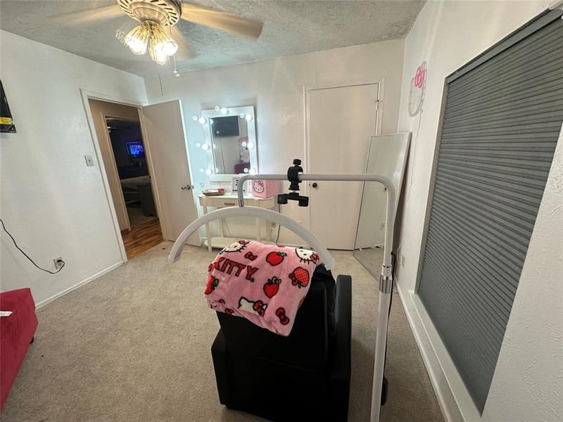 2312 Westbrook Drive, Carrollton TX 75007 - Photo 19