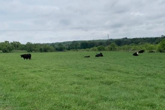 1521 FM 590, Comanche TX 76442 - Photo 27