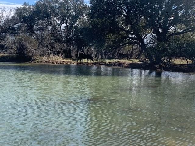 1521 FM 590, Comanche TX 76442 - Photo 22