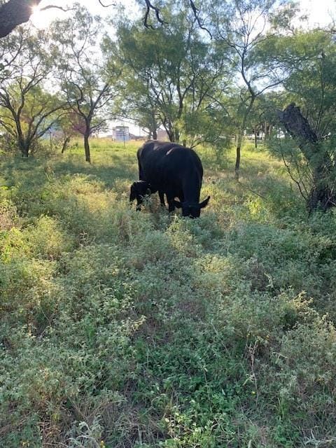 1521 FM 590, Comanche TX 76442 - Photo 30