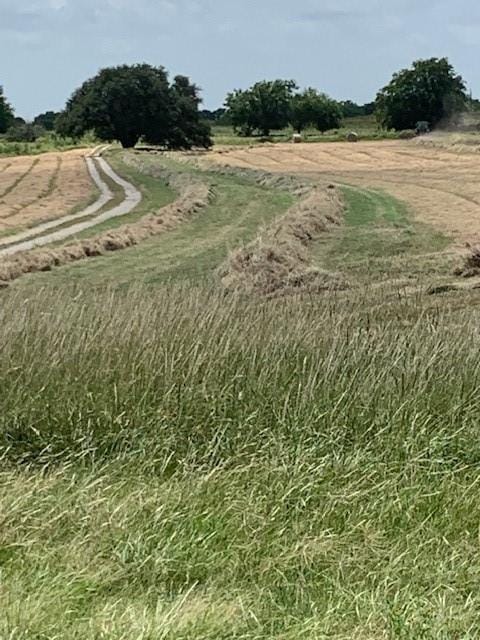 1521 FM 590, Comanche TX 76442 - Photo 31