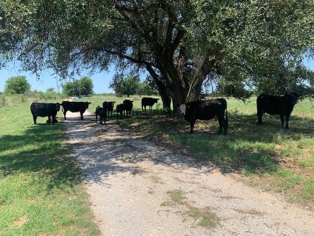 1521 FM 590, Comanche TX 76442 - Photo 29