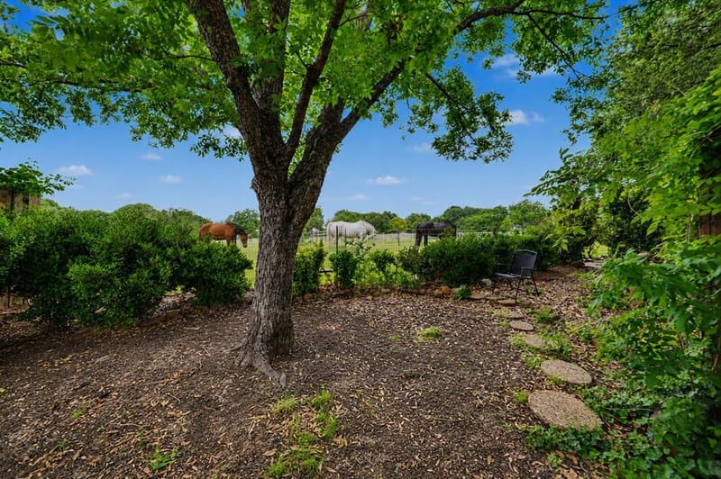 1905 Lakeway Drive, Rowlett TX 75088 - Photo 11