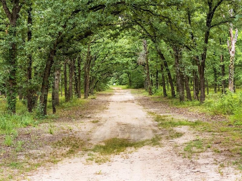 871 VZ County Road 1913, Fruitvale TX 75127 - Photo 4