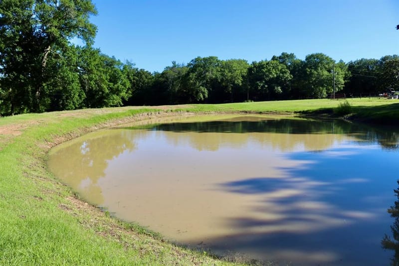 387 County Road 2101, Ivanhoe TX 75447 - Photo 13