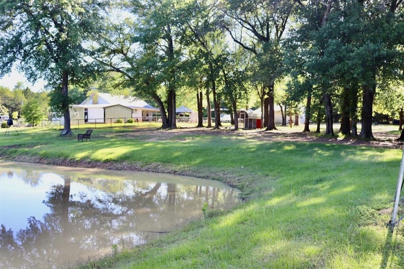 387 County Road 2101, Ivanhoe TX 75447 - Photo 11